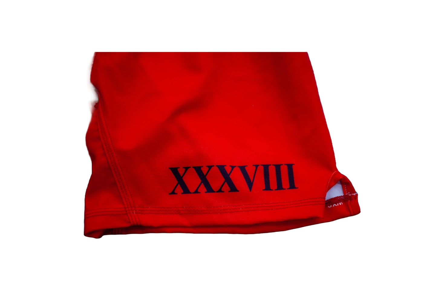 10th Planet Etobicoke Limited Edition Torlake Shorts