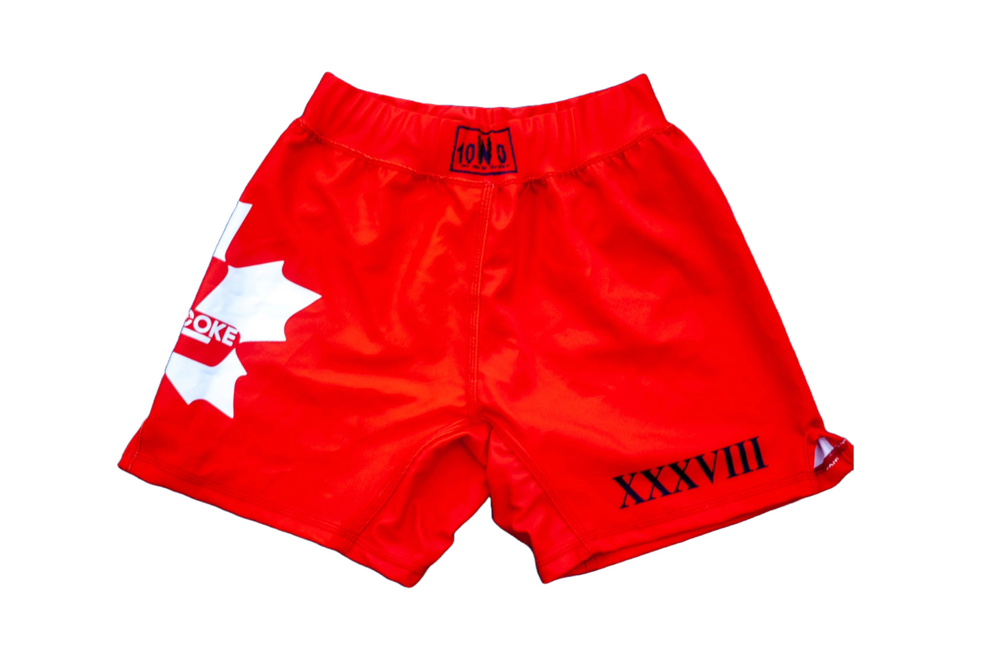 10th Planet Etobicoke Limited Edition Torlake Shorts