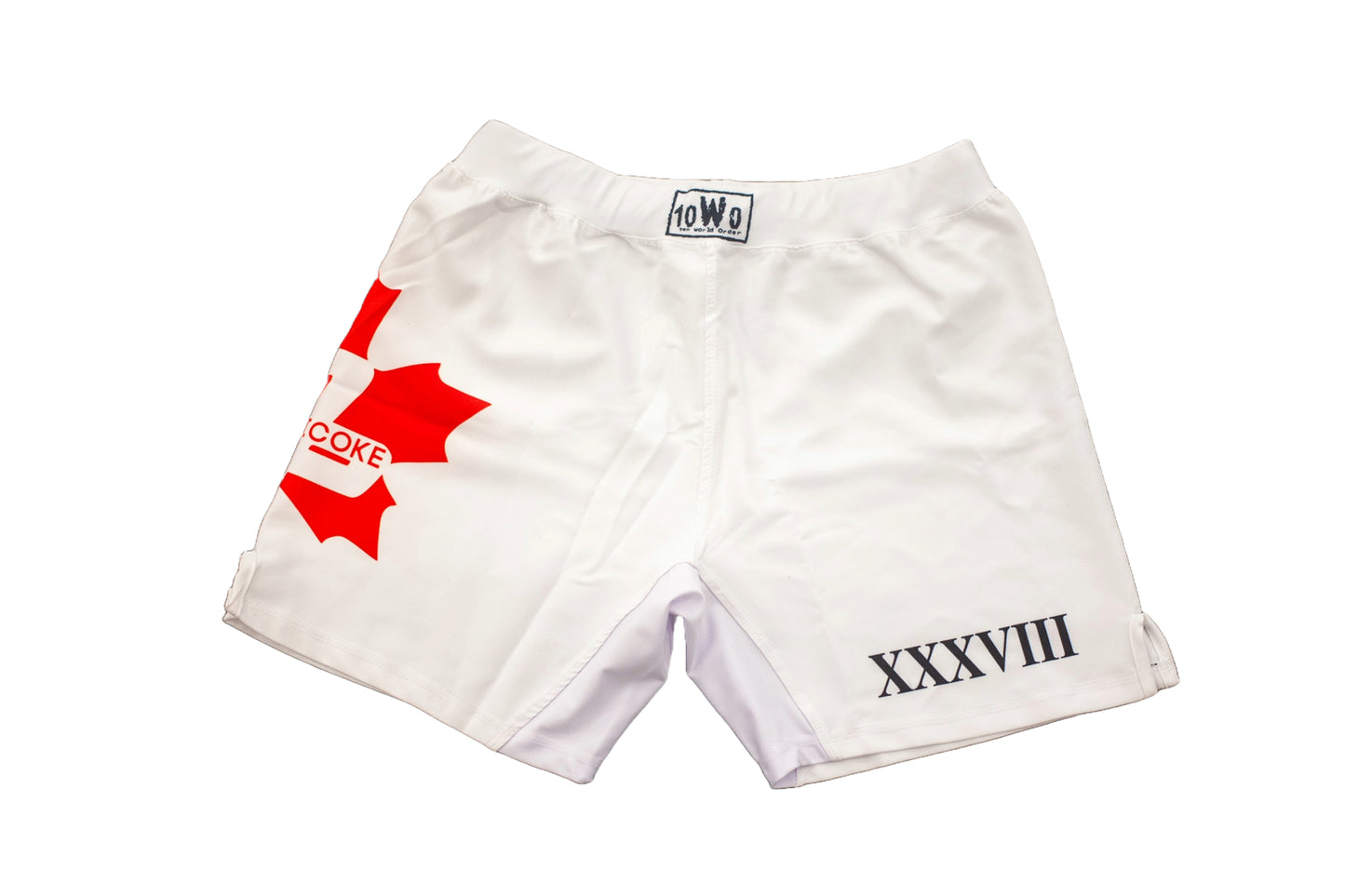 10th Planet Etobicoke Limited Edition Torlake Shorts