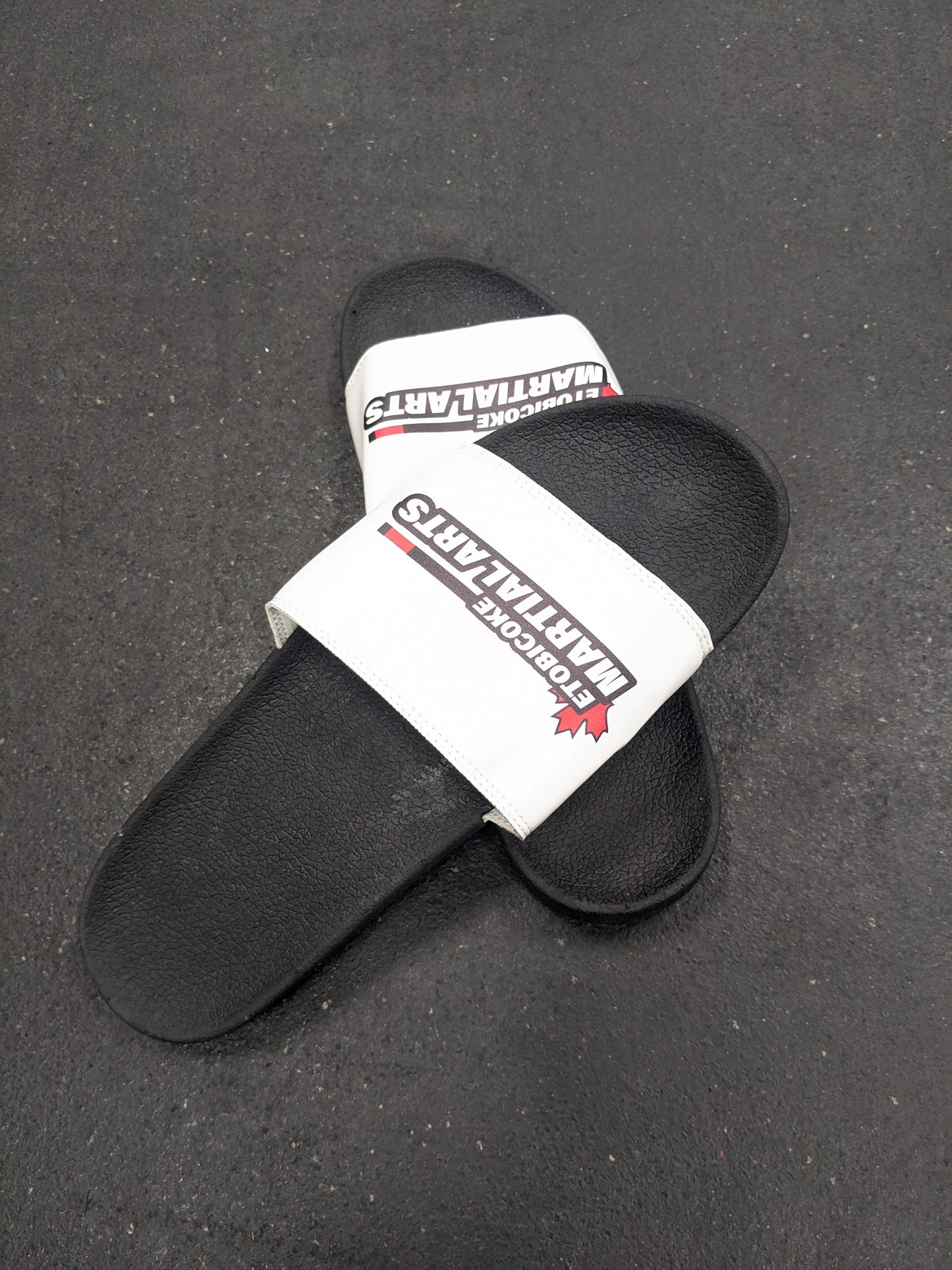 10th Planet / Etobicoke Martial Arts Slides