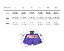 PRIMO Fightwear - Trinity Series Microfiber Muay Thai Shorts - Purple