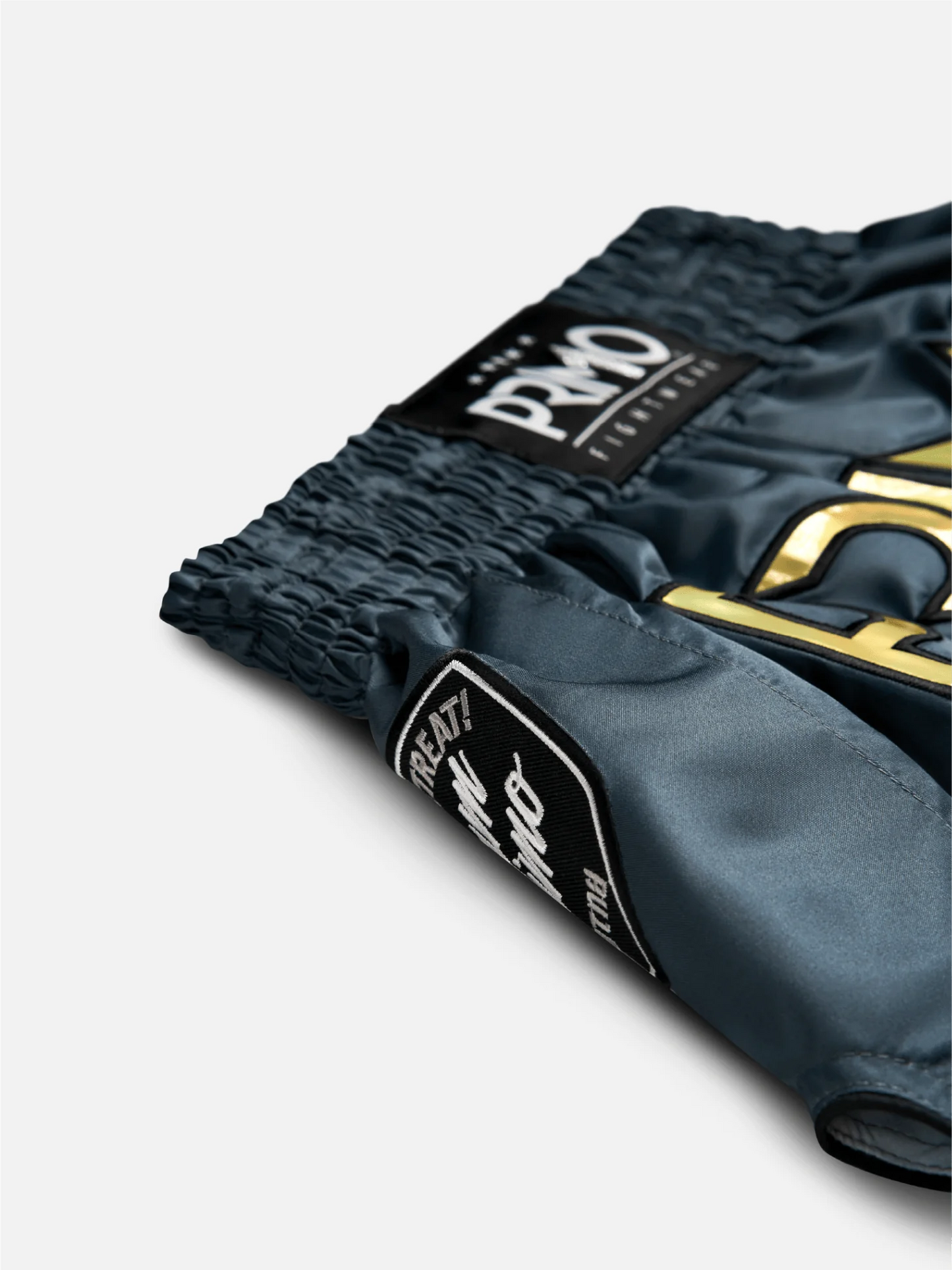 Muay Thai Shorts - Hologram Series - Valor Grey